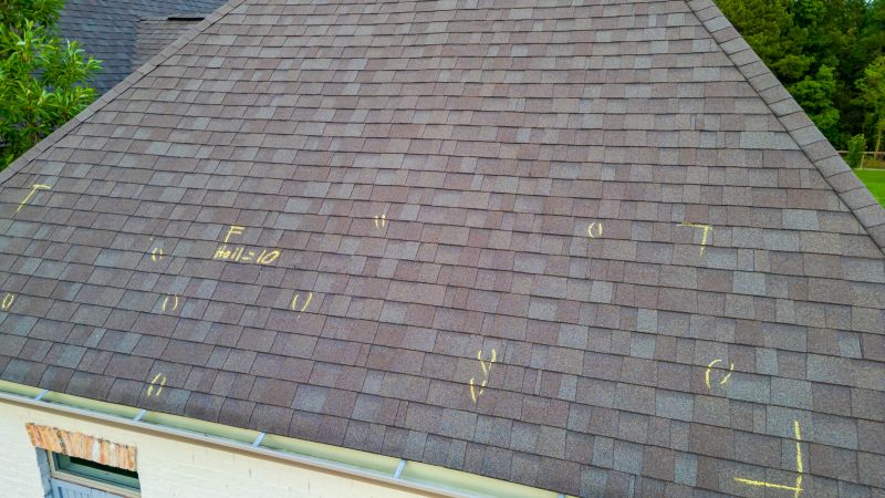 Asphalt Roof Inspection in Chester, NJ