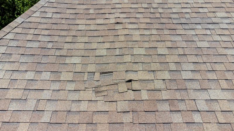 Asphalt Roof Inspection in Mendham, NJ
