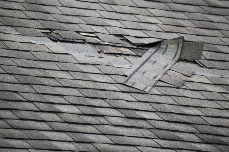 Asphalt Roof Leak Repair in Wycombe, PA