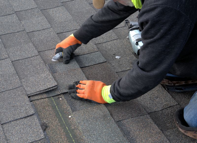 Asphalt Roof Repair in Upper Black Eddy, PA