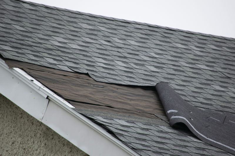 Asphalt Shingles Repair in Princeton, NJ