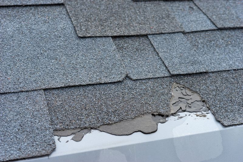 Damaged Roof Repair in Edison, NJ