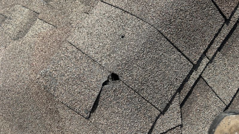 Damaged Roof Repair in Monroe Township, NJ