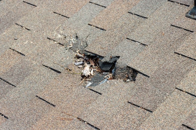 Damaged Roof Replacement in Bridgewater, NJ