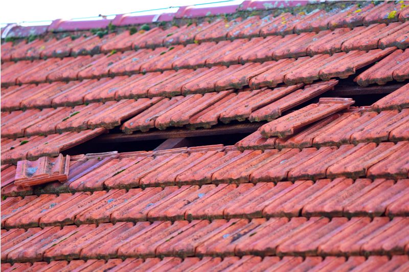 Roof Damage Inspection in Dublin, PA