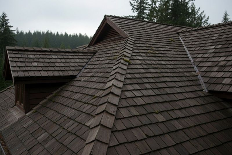 Wood Shake Roof Replacement in Clinton, NJ
