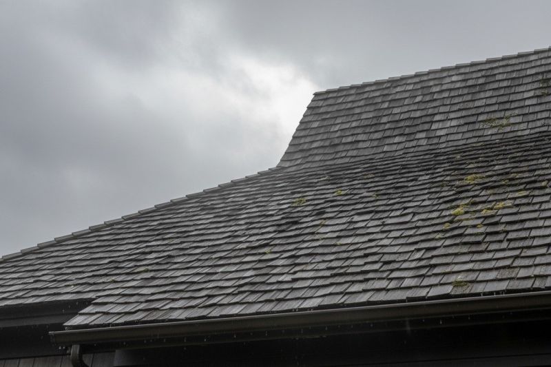 Wood Shake Roof Replacement in Upper Black Eddy, PA